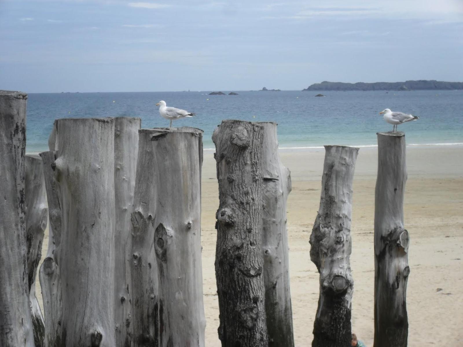 6 Rue Des Eglantines Apartment Saint-Malo Ngoại thất bức ảnh